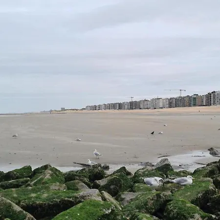 Apartmán In With Stunning Sea View, Cleaning Included *